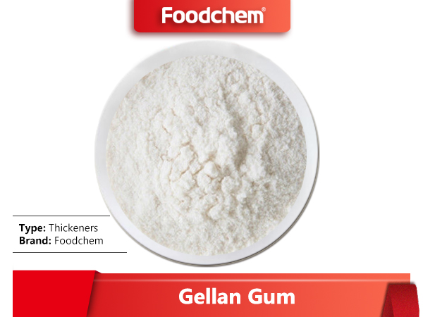 Gellan Gum